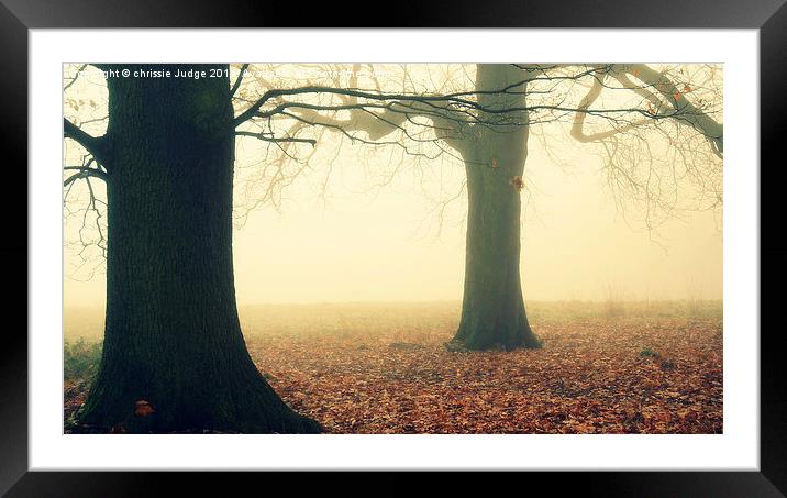  The Autumn Trees  Framed Mounted Print by Heaven's Gift xxx68
