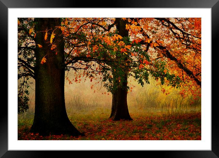 Autumn In Hamstead-heath London Uk  Framed Mounted Print by Heaven's Gift xxx68
