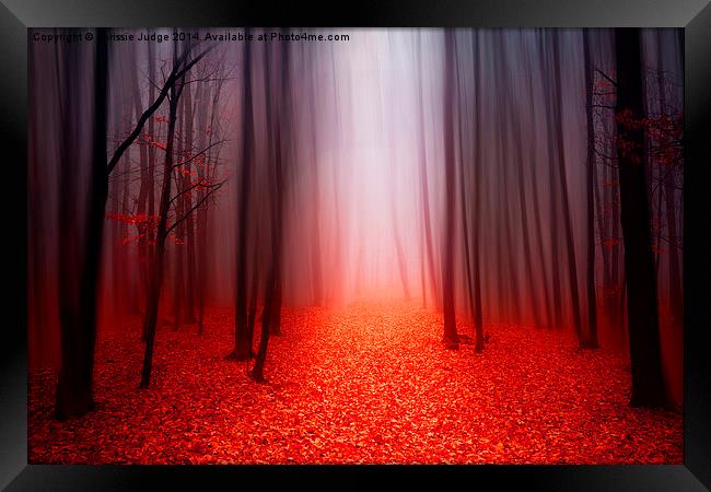  The Red Forest Framed Print by Heaven's Gift xxx68
