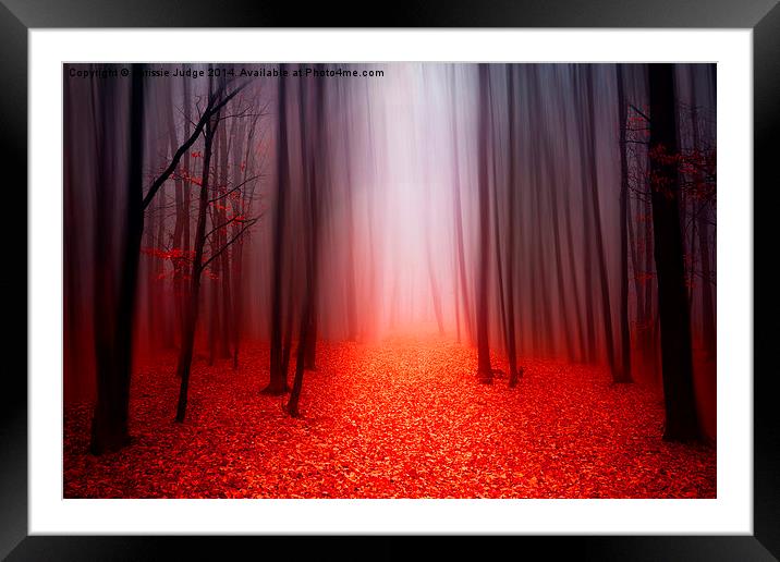  The Red Forest Framed Mounted Print by Heaven's Gift xxx68