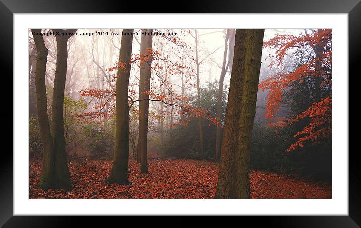  The Autumn Forest Hampstead-heath London Uk  Framed Mounted Print by Heaven's Gift xxx68