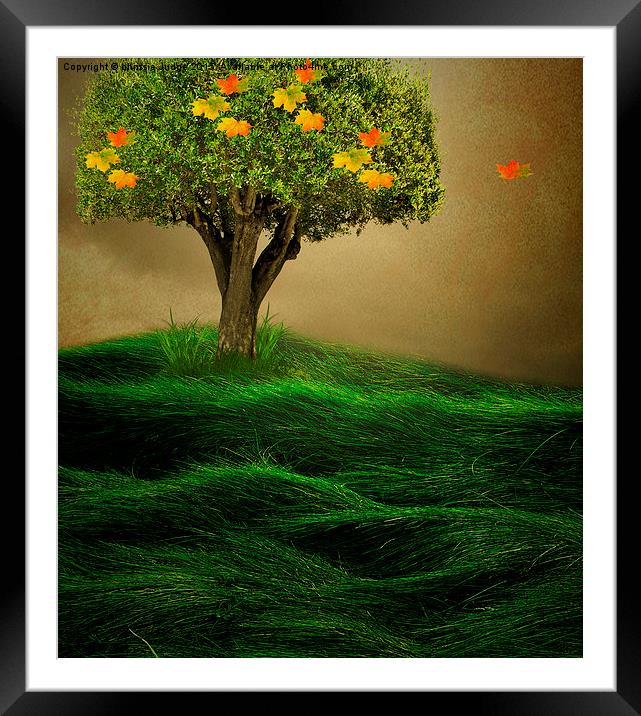 The Tree  Framed Mounted Print by Heaven's Gift xxx68