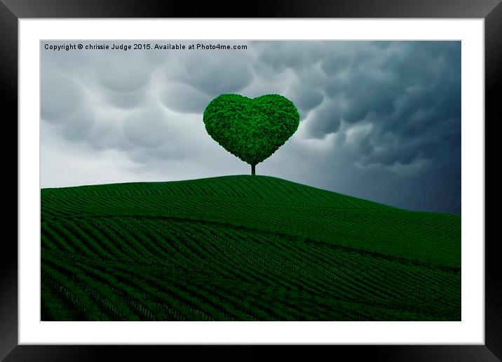  the little green heart tree  Framed Mounted Print by Heaven's Gift xxx68