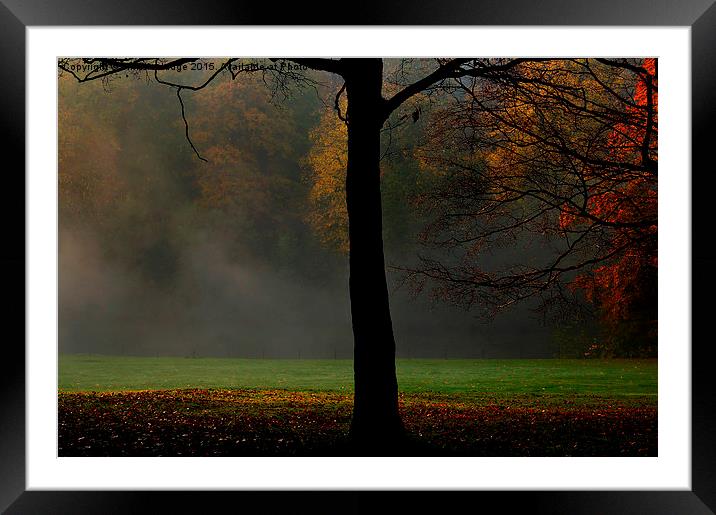  The beauty of Autumn  Framed Mounted Print by Heaven's Gift xxx68