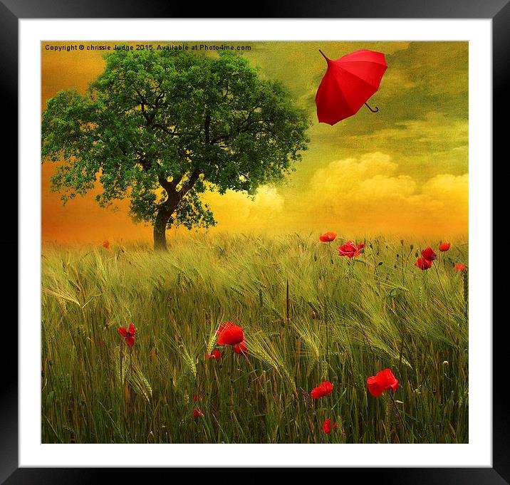 fly High  Framed Mounted Print by Heaven's Gift xxx68