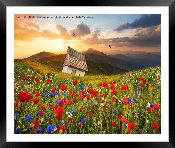 the meadow  Framed Mounted Print by Heaven's Gift xxx68