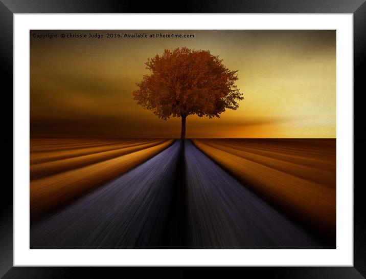 The golden tree  Framed Mounted Print by Heaven's Gift xxx68