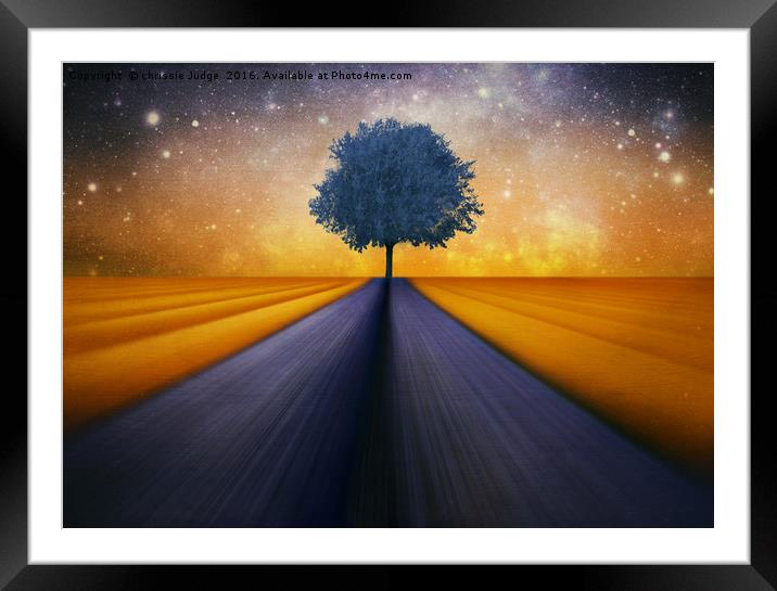 The little blue Tree  Framed Mounted Print by Heaven's Gift xxx68
