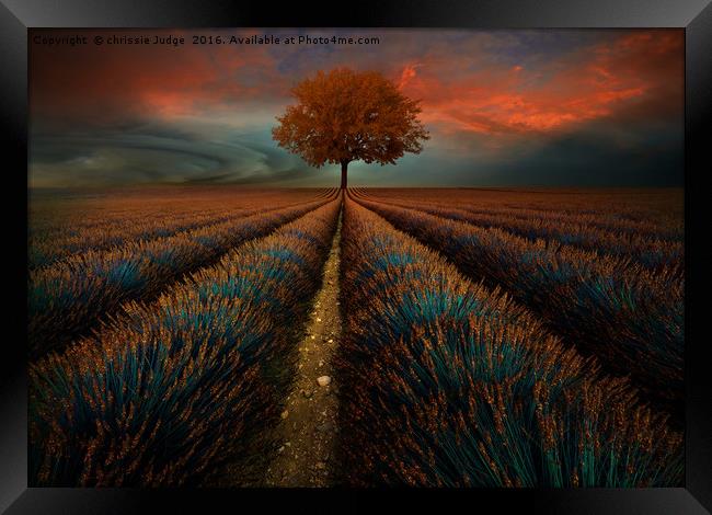 The field  Framed Print by Heaven's Gift xxx68
