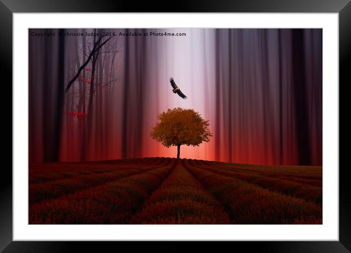 The Red forest Framed Mounted Print by Heaven's Gift xxx68