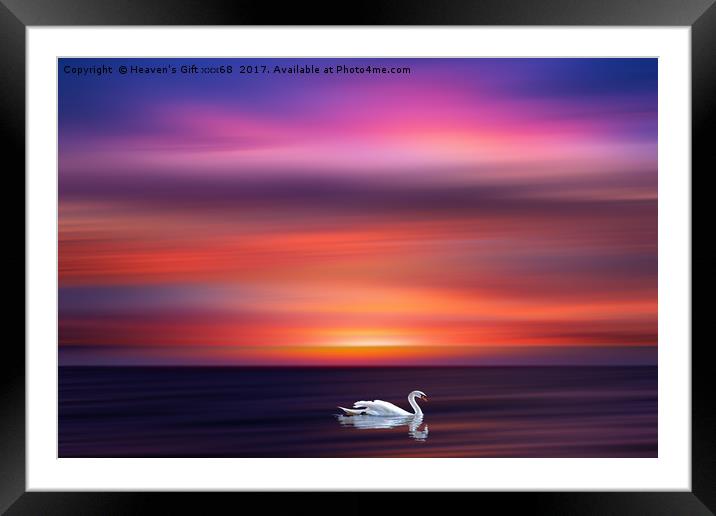 Colors speak all languages. (Joseph Addison)  Framed Mounted Print by Heaven's Gift xxx68