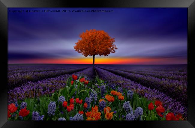 The world is my canvas and I create my reality.” ~ Framed Print by Heaven's Gift xxx68