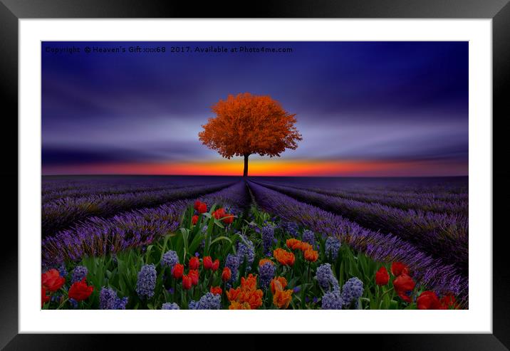 The world is my canvas and I create my reality.” ~ Framed Mounted Print by Heaven's Gift xxx68