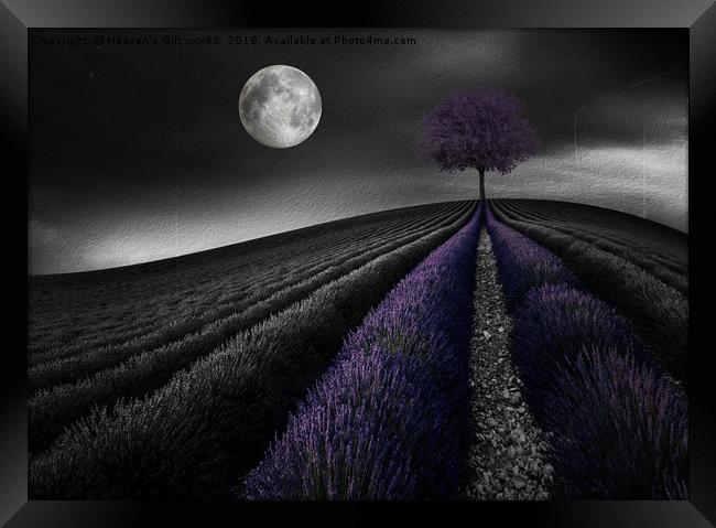 Lavender Hill Framed Print by Heaven's Gift xxx68