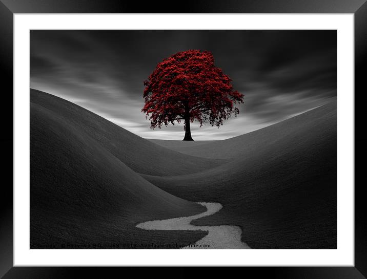 The Red Tree Framed Mounted Print by Heaven's Gift xxx68