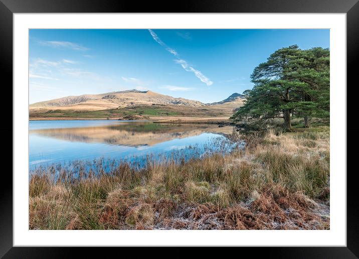 Frost and reflections 2 Framed Mounted Print by Jonathon barnett