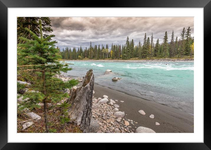 River stump Framed Mounted Print by Jonathon barnett