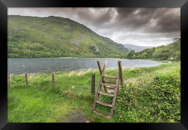 Windswept Framed Print by Jonathon barnett