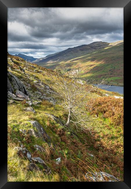 Sunshine ridge Framed Print by Jonathon barnett