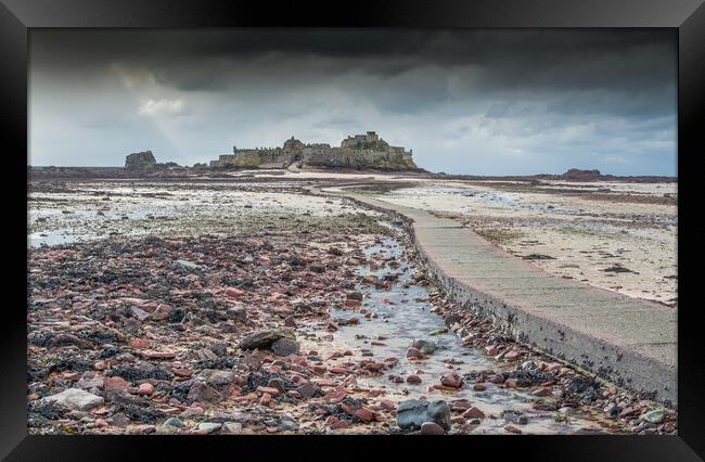 Red pebbles at Elizabeth Castle Jersey Framed Print by Jonathon barnett