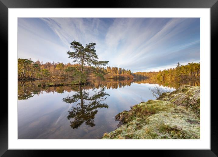 Frost and reflections at Tarn Hows Framed Mounted Print by Jonathon barnett