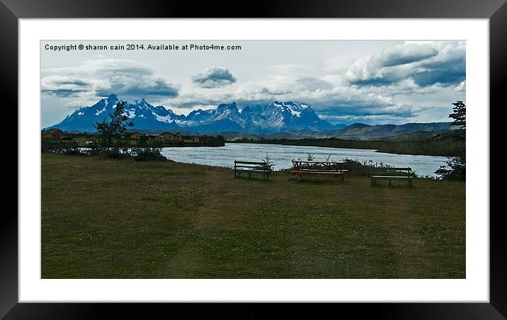  Picnic in Patagonia Framed Mounted Print by Sharon Cain