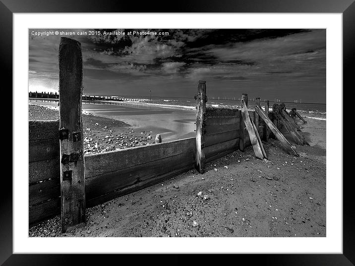  Withernsea Groins Framed Mounted Print by Sharon Cain