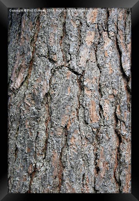 Tree Bark Abstract Framed Print by Phil Clarkson