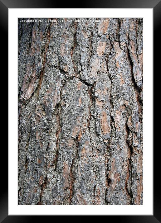 Tree Bark Abstract Framed Mounted Print by Phil Clarkson
