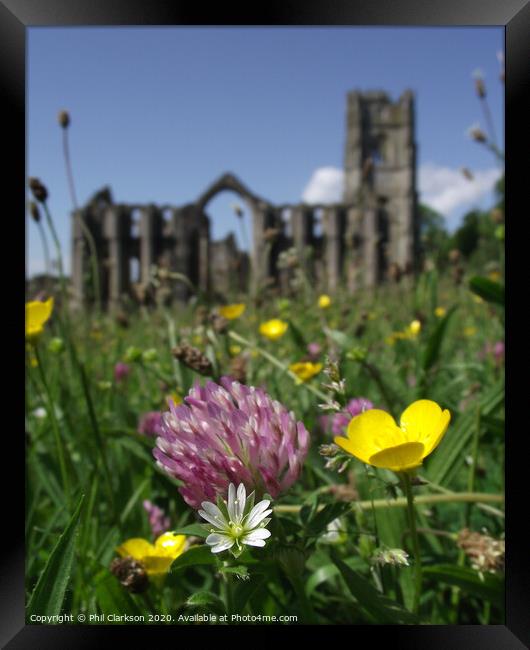 Fountain's Abbey Framed Print by Phil Clarkson