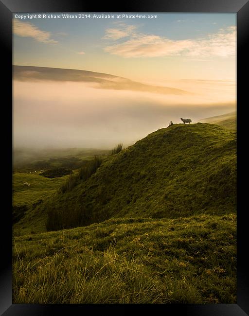 Dawn Watcher Framed Print by Richard Wilson