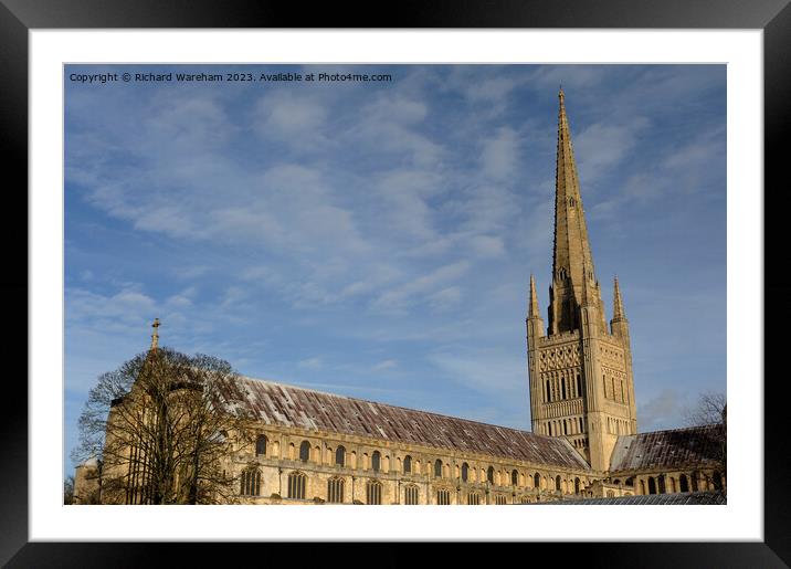 Norwich Cathedral. Framed Mounted Print by Richard Wareham