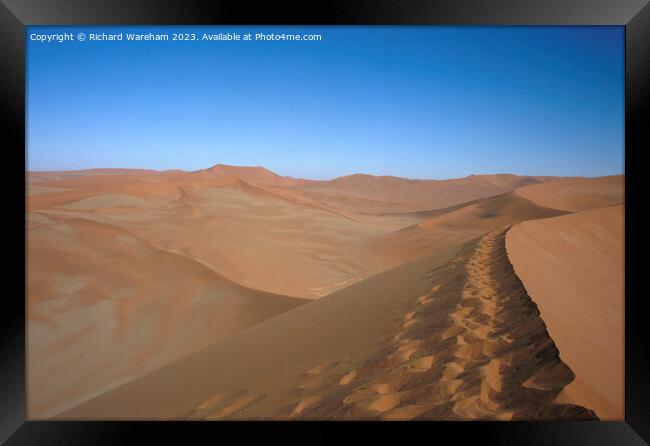 Sossusvlei Framed Print by Richard Wareham