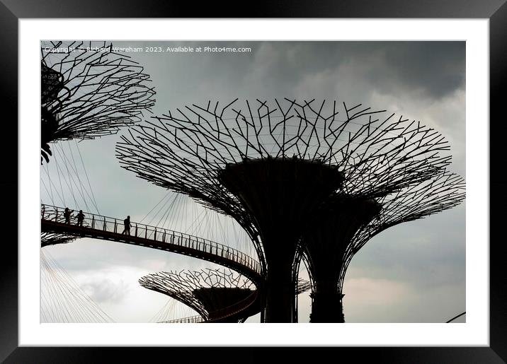 Singapore Supertree Grove Framed Mounted Print by Richard Wareham