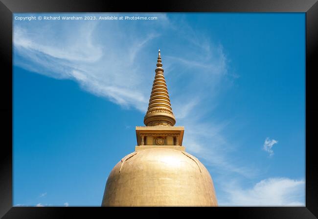 Sri Lanka Framed Print by Richard Wareham