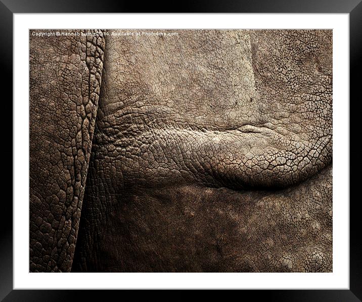  Rhino Skin Framed Mounted Print by Hannah Laing