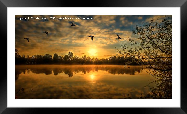 Bury Lake with ducks fly past Framed Mounted Print by peter wyatt