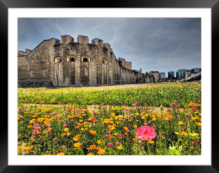 Tower of London Superbloom  Framed Mounted Print by David Hall