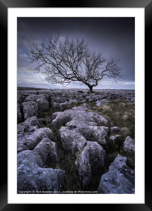 Limestone Tree Framed Mounted Print by Rick Bowden