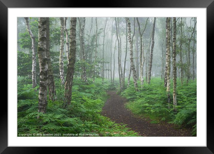 Enchanting Misty Fern Path Framed Mounted Print by Rick Bowden