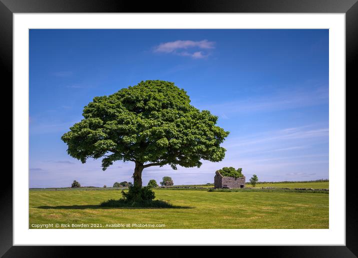 Peak District Tree Framed Mounted Print by Rick Bowden