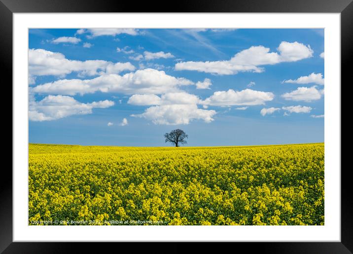Rapeseed Tree Framed Mounted Print by Rick Bowden