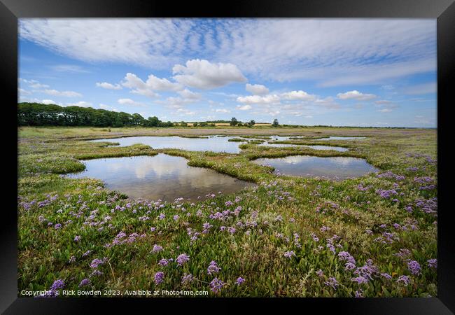 Enchanting Sea Lavender Pools Framed Print by Rick Bowden