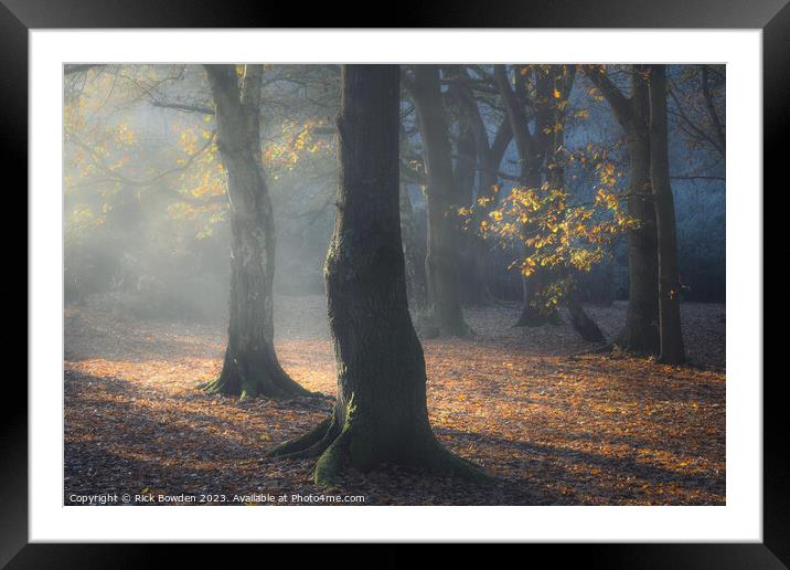 Enchanted Forest Glow Framed Mounted Print by Rick Bowden