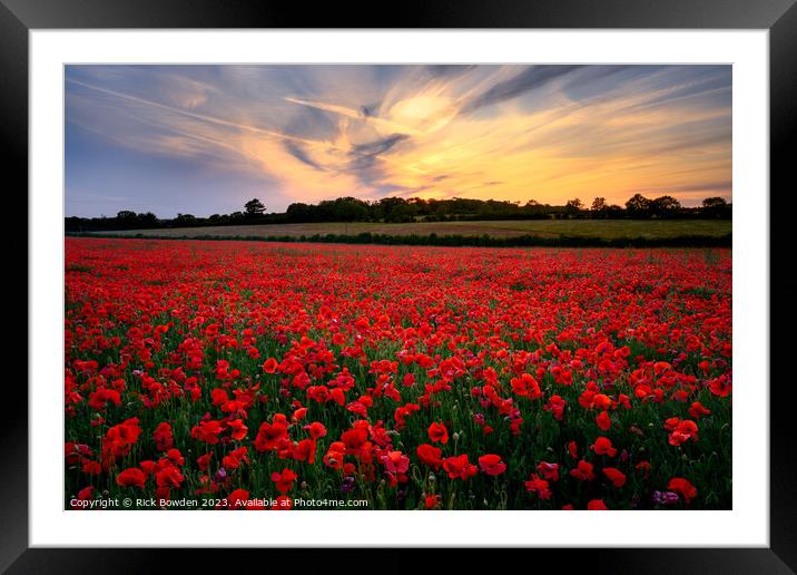 Poppy Sunset Framed Mounted Print by Rick Bowden