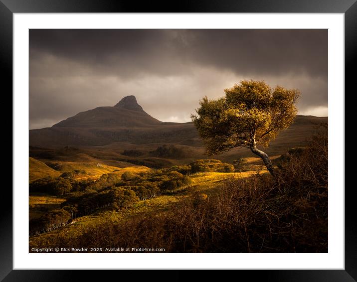 Stach Pollaidh Tree Framed Mounted Print by Rick Bowden