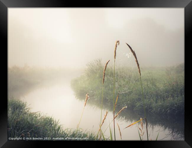 Spider by the Riverside Framed Print by Rick Bowden