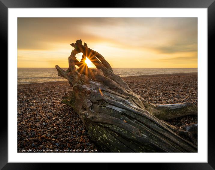 Aldeburgh DriftWood Framed Mounted Print by Rick Bowden