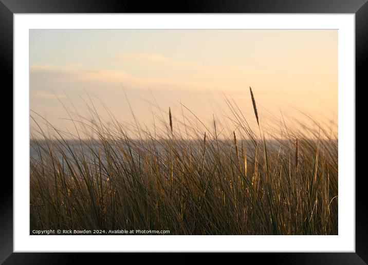 Caister Grasses. Framed Mounted Print by Rick Bowden