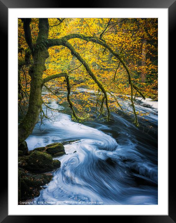 Swirl Tree Framed Mounted Print by Rick Bowden